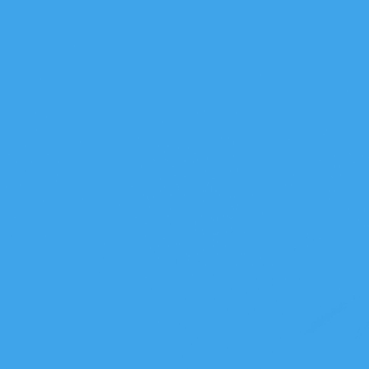 13100-BLUEJAY-081