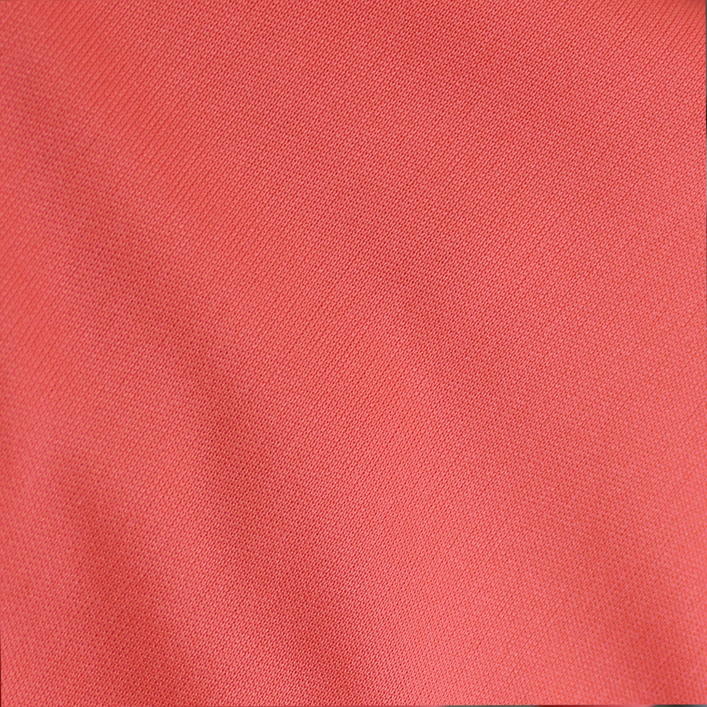 13100-CORAL-255