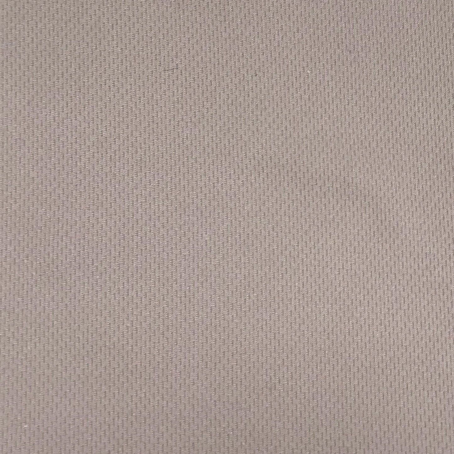 2001-TAUPE