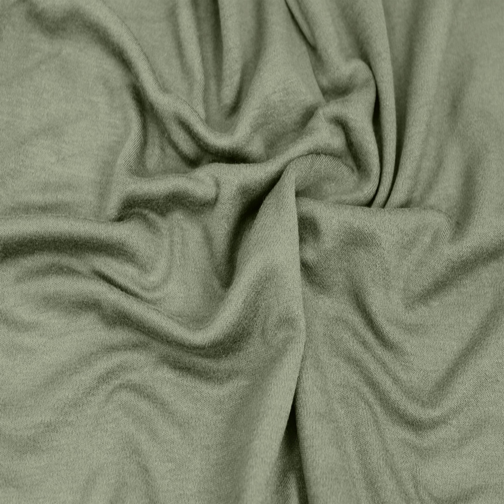 407-OLIVE