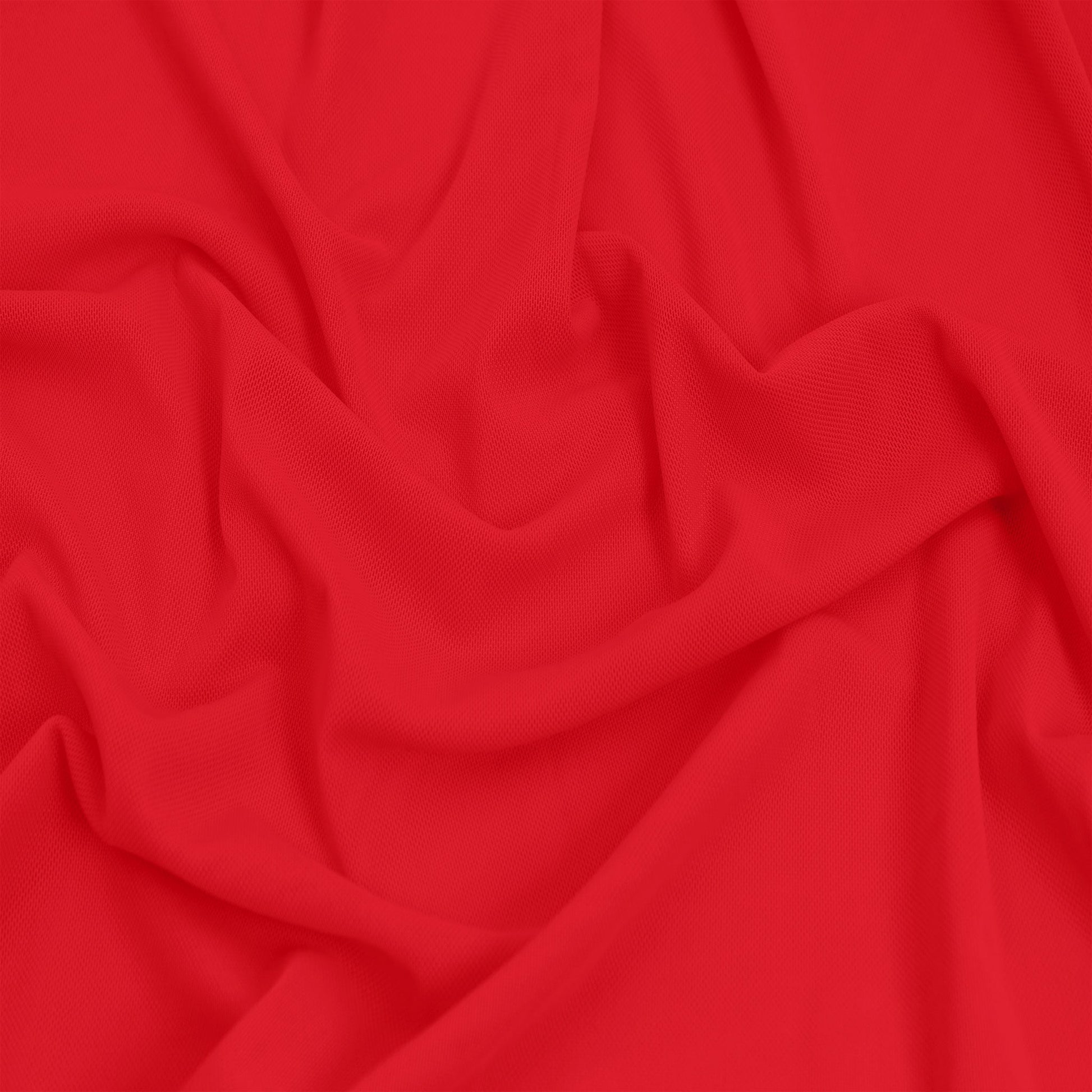 454-CORAL-CHICKNEON-A