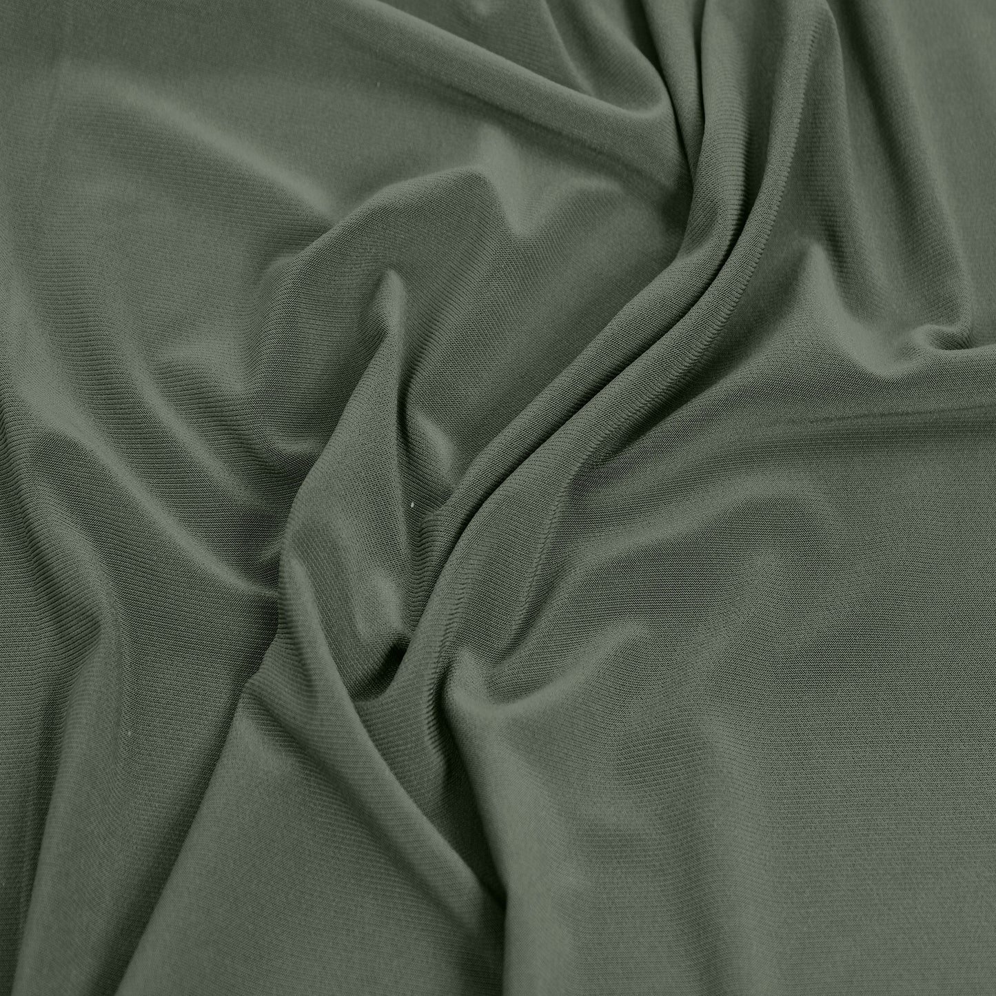 460-OLIVE