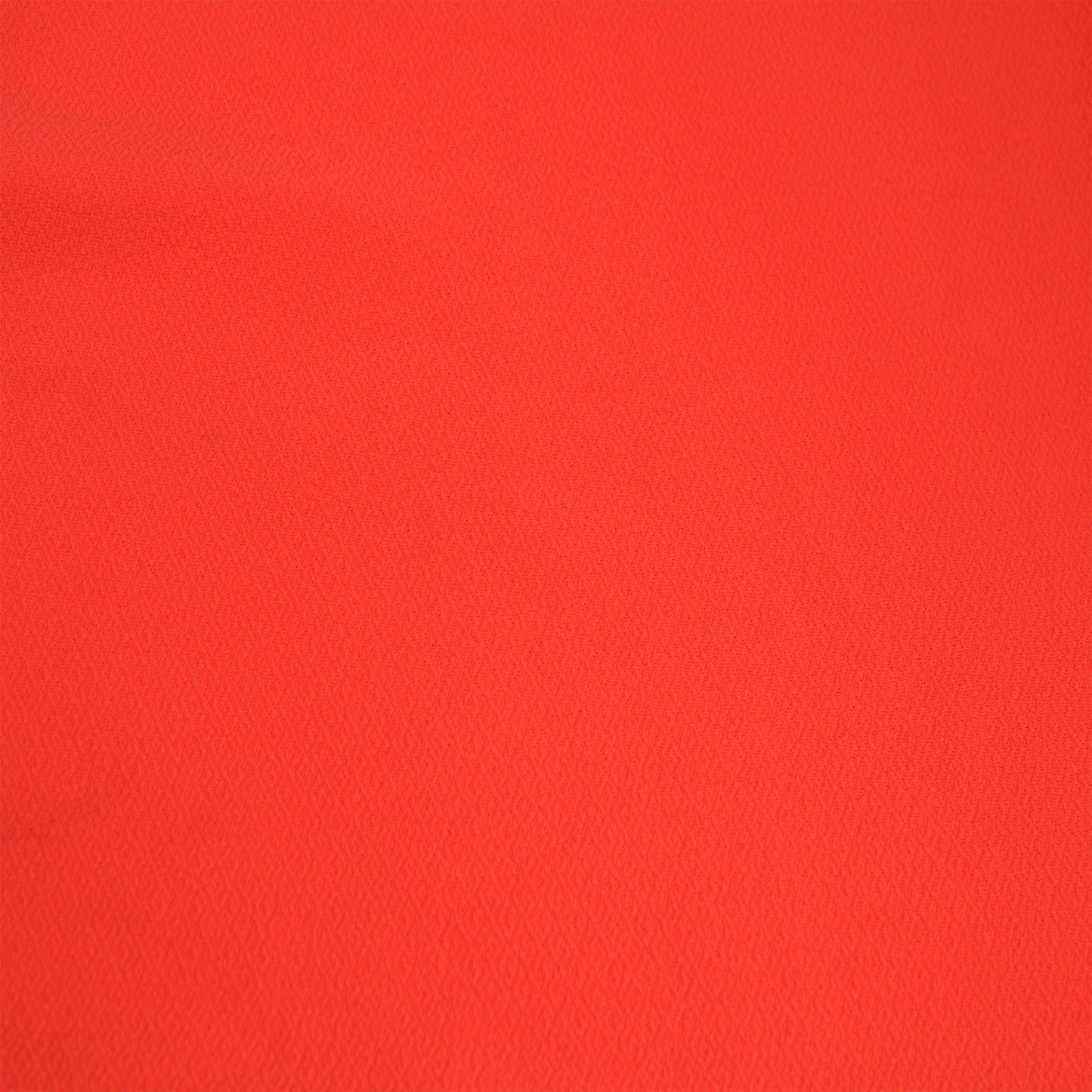 481-CORAL-NEON
