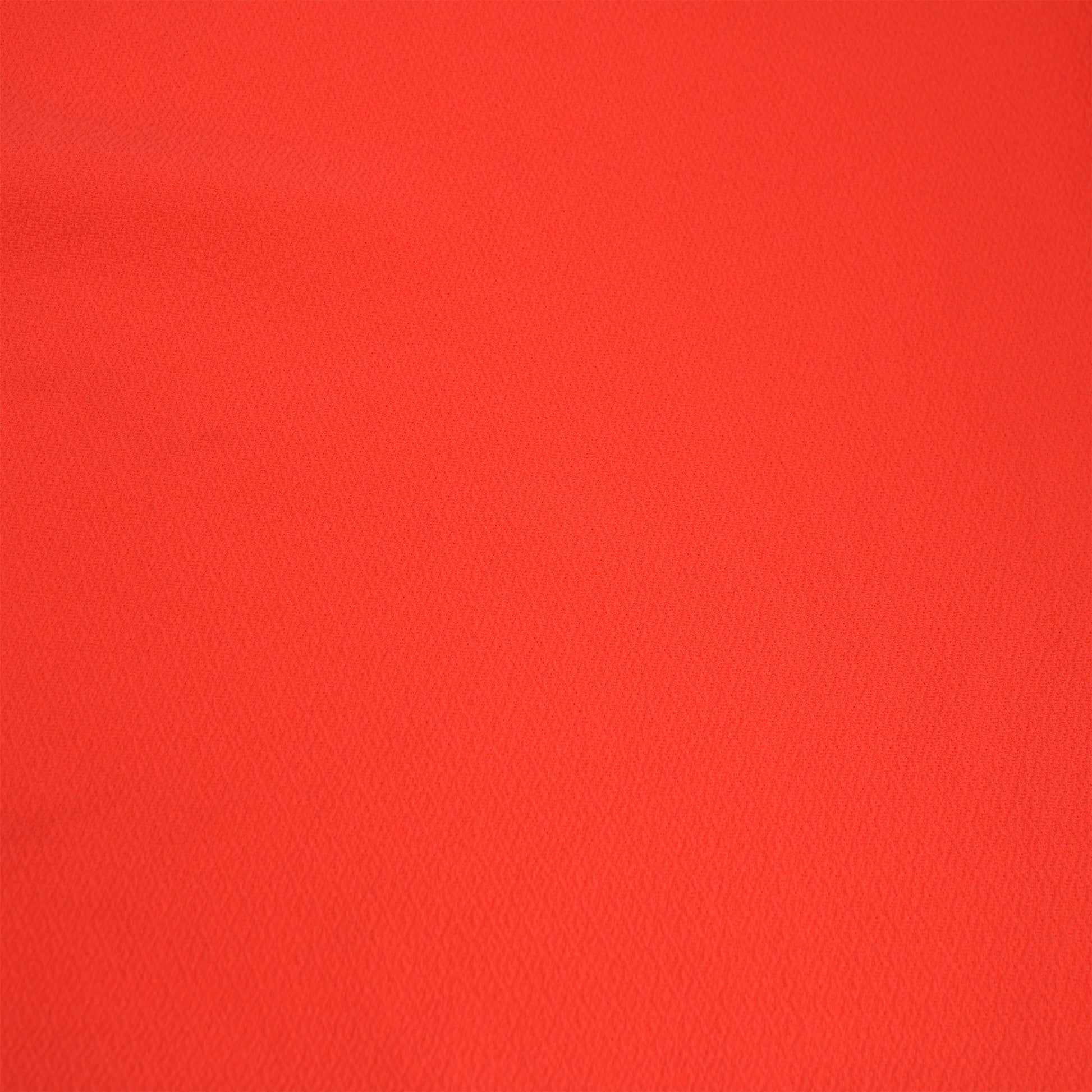 481-CORAL-NEON