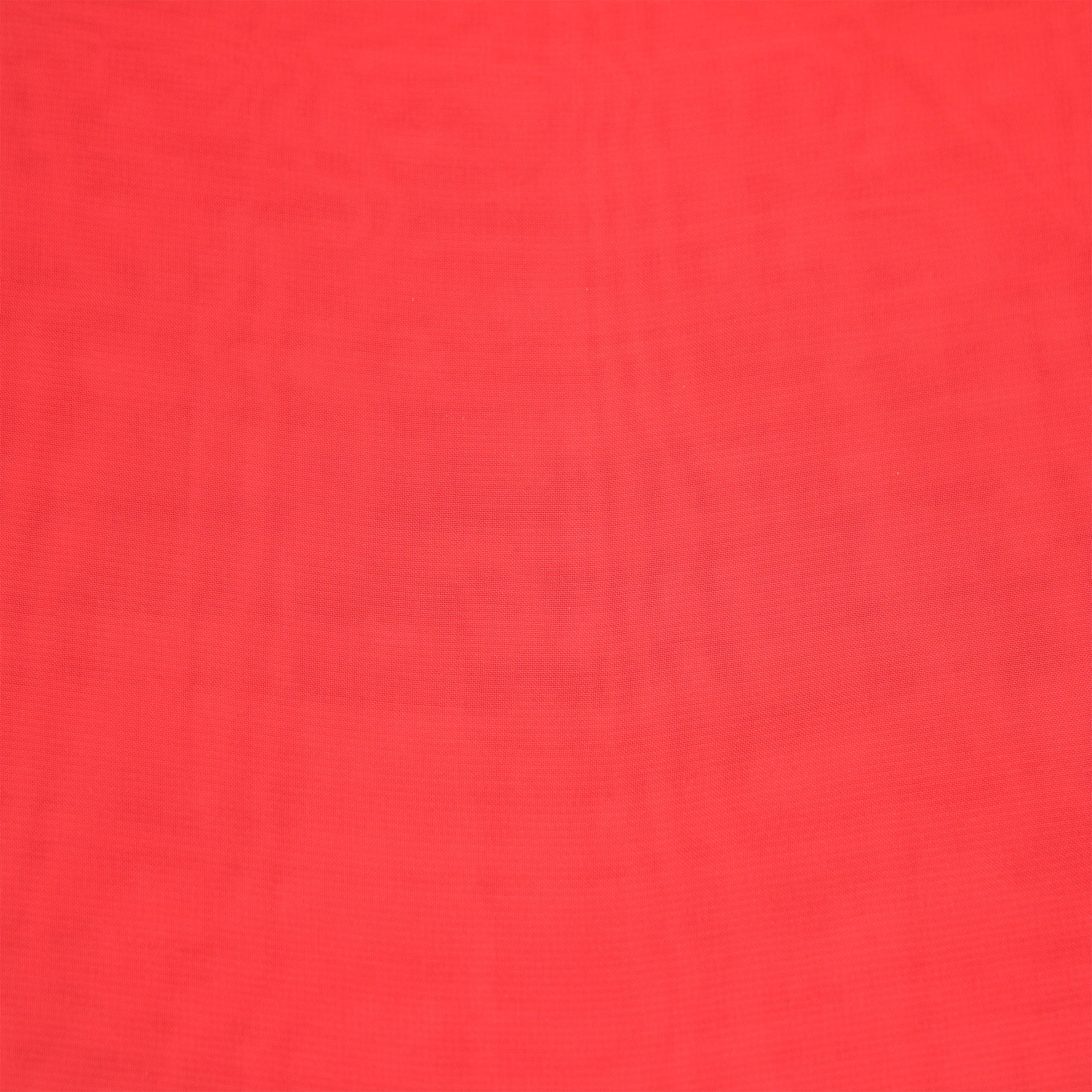 500-CORALLISH