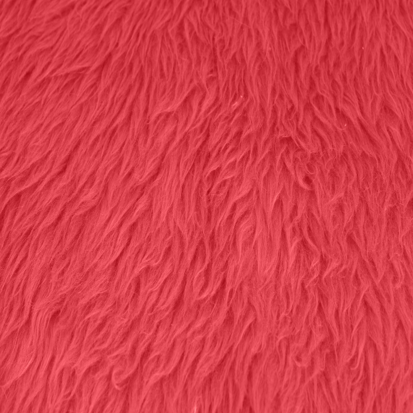 5009-CORAL