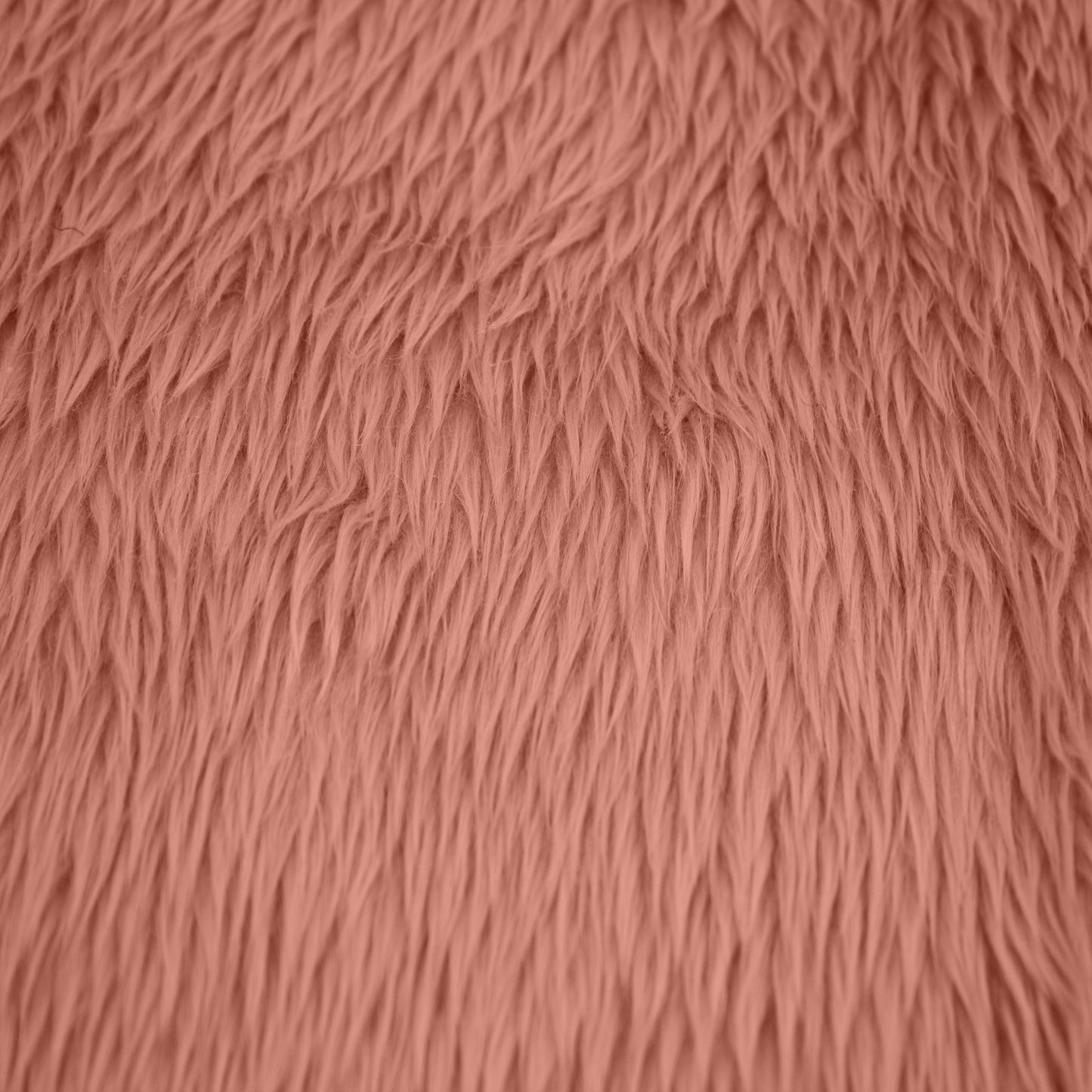 5009-PEACHPAPAYA