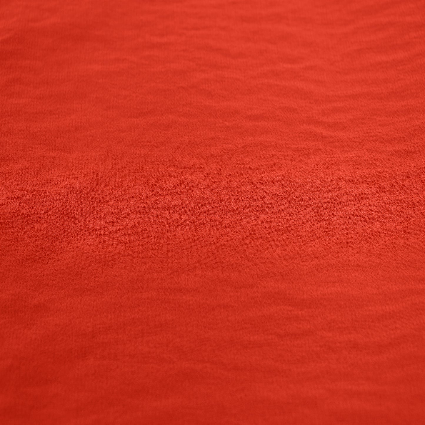 501-CORALLISH