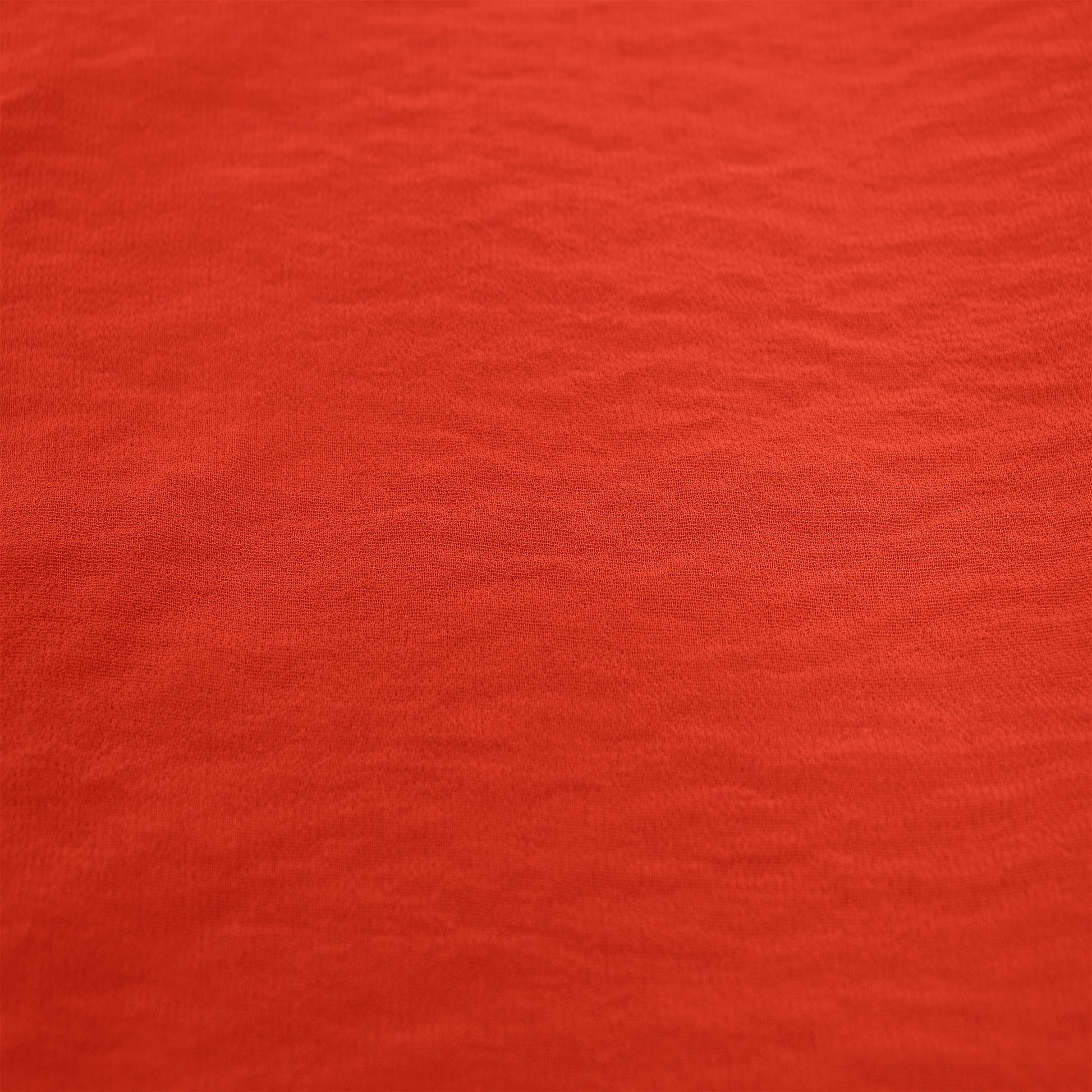 501-CORALLISH