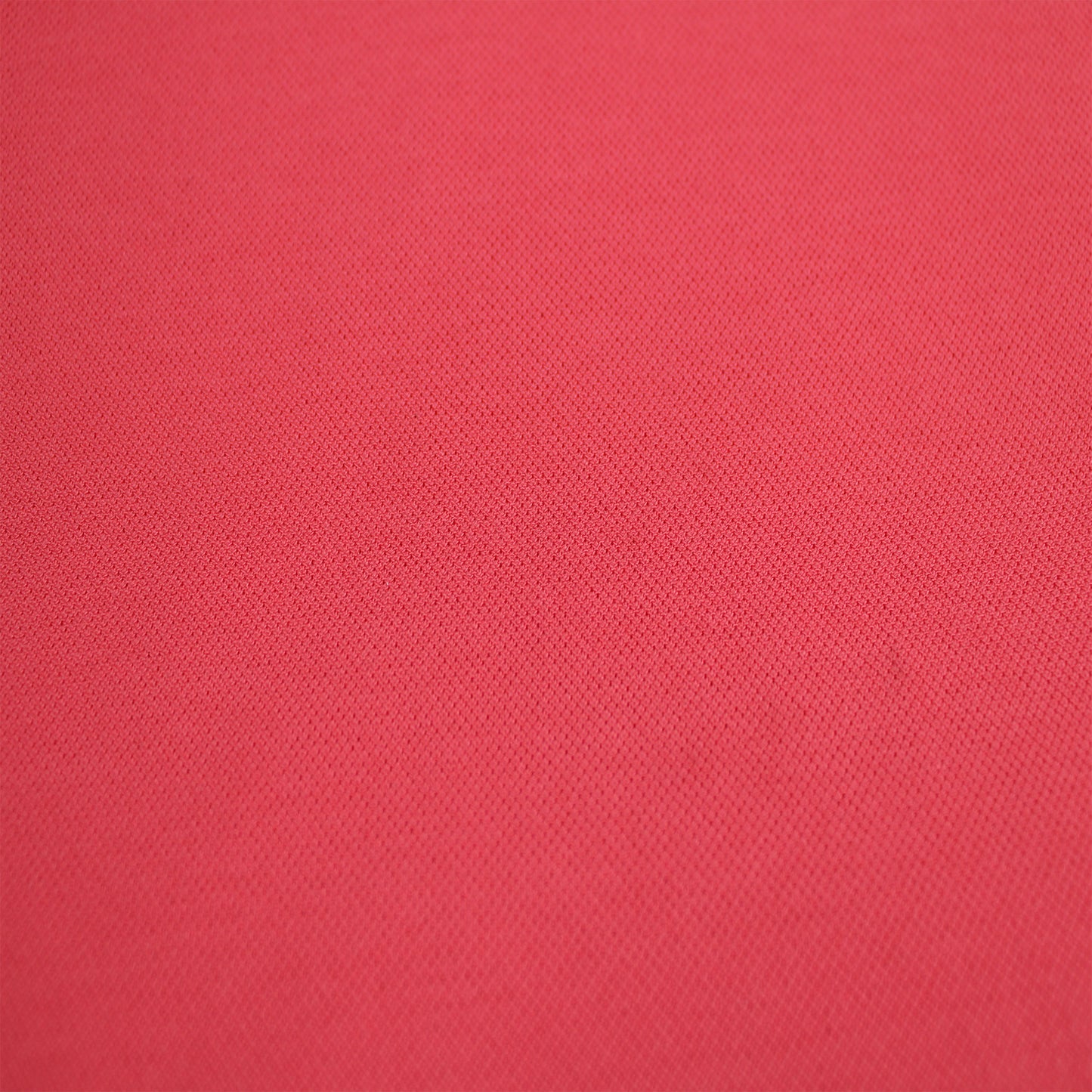 507-CORALLISH