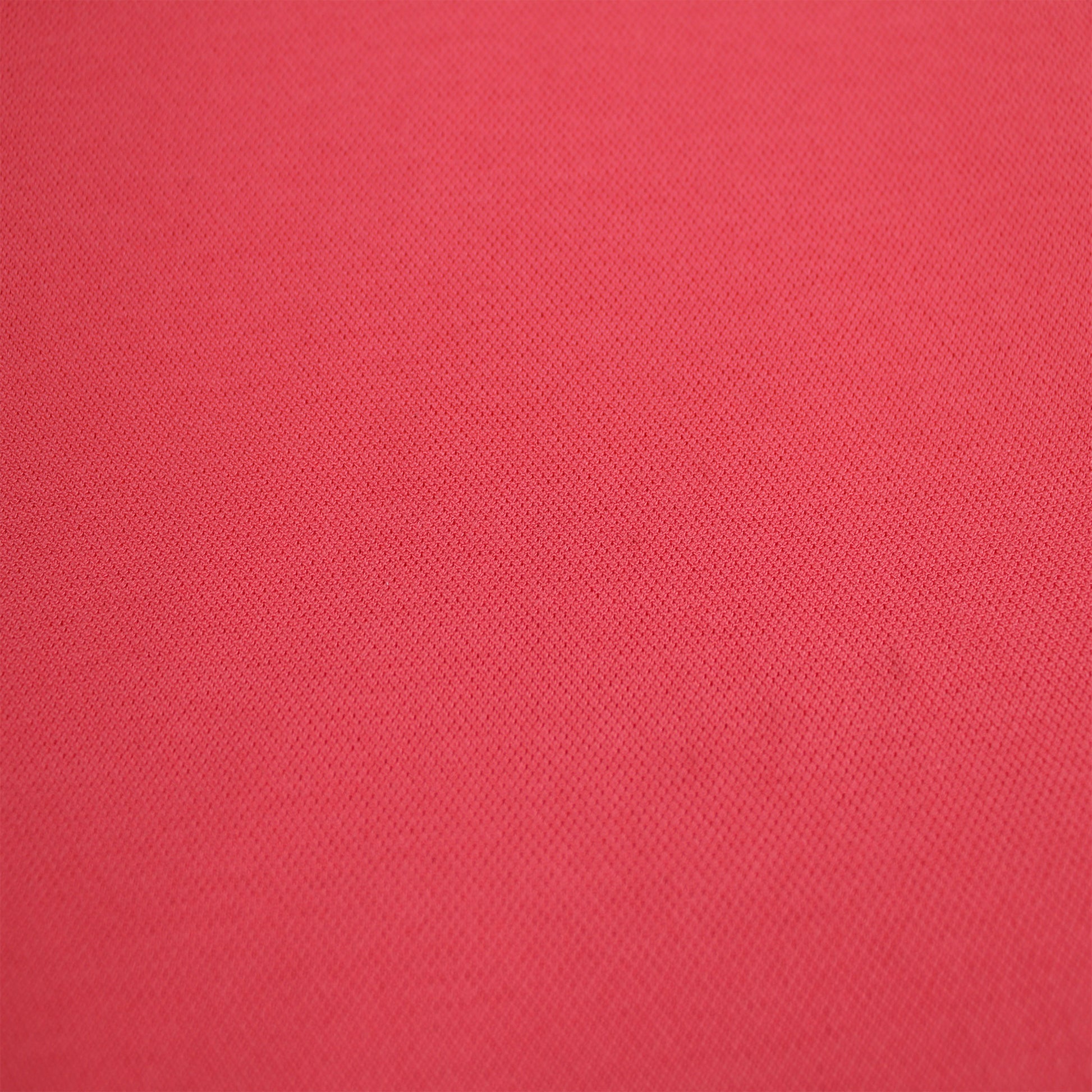 507-CORALLISH