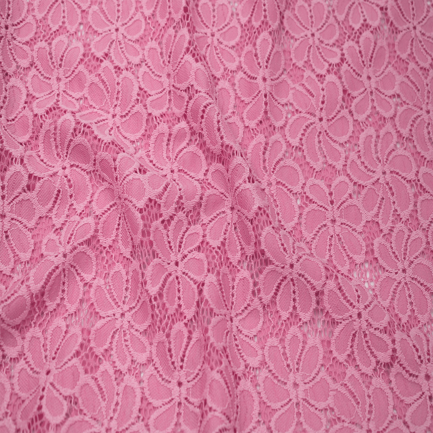 561-CORAL-DK