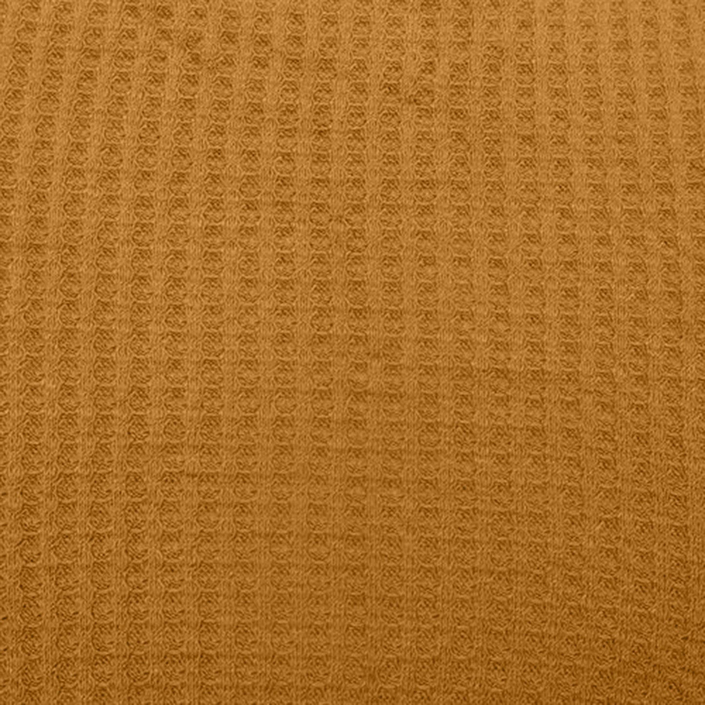 659-MUSTARD-A