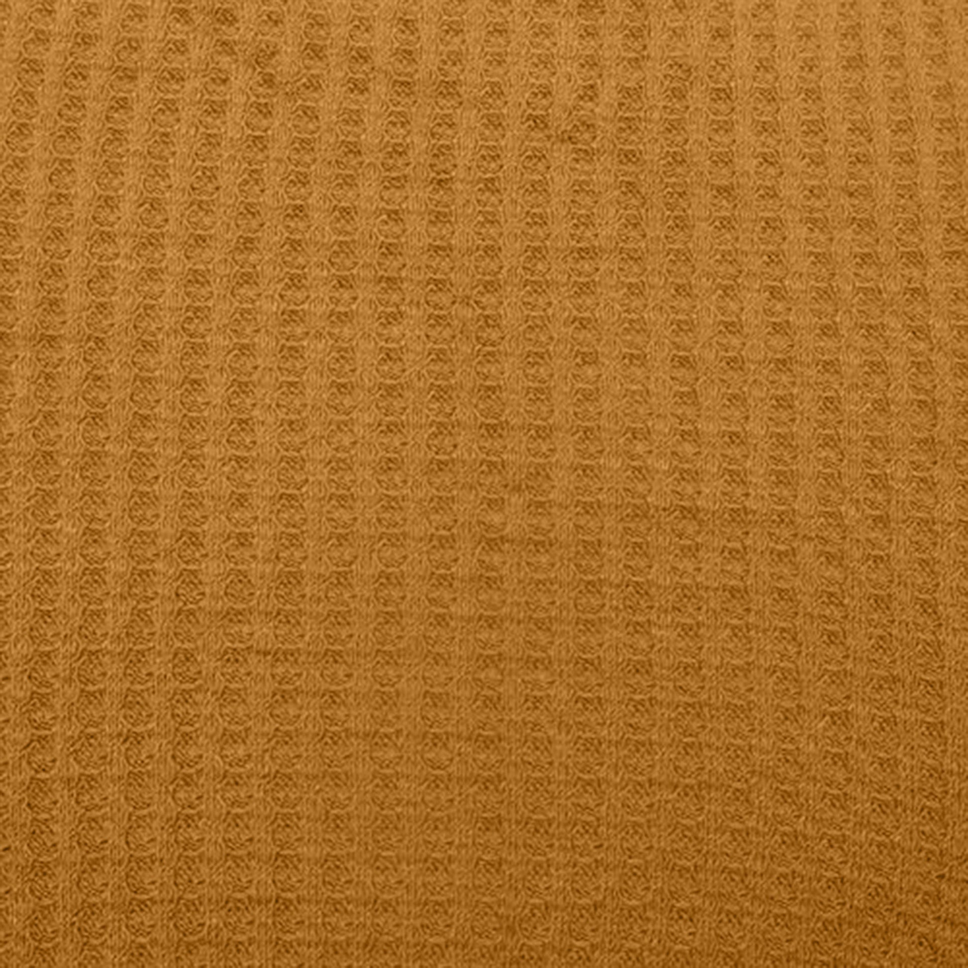 659-MUSTARD-A
