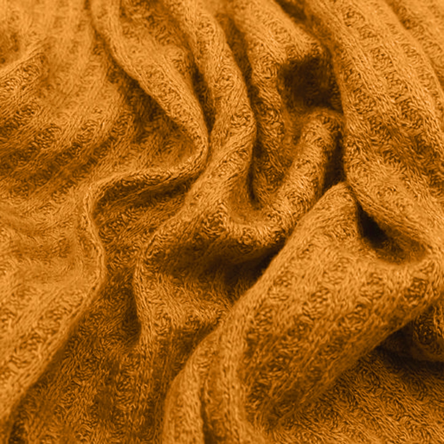 659-MUSTARD-B