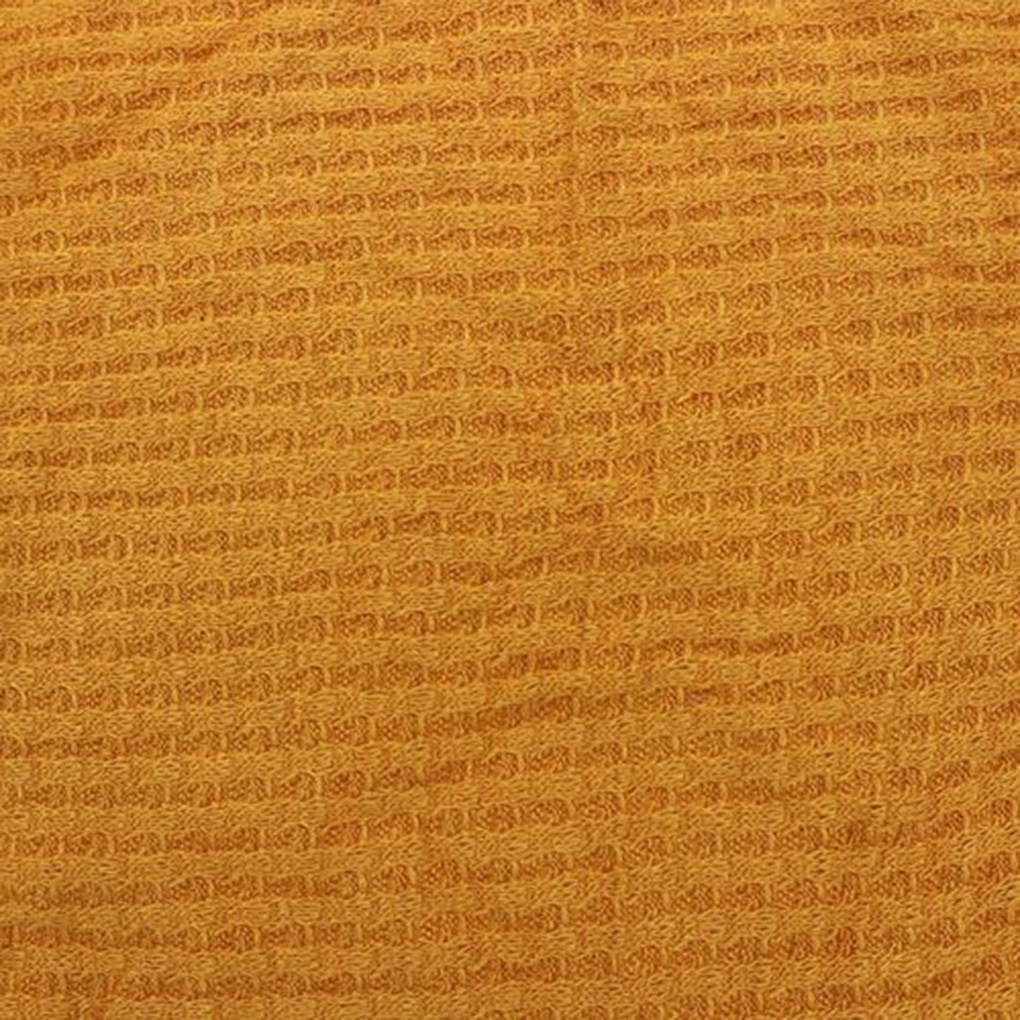 659-MUSTARD-B