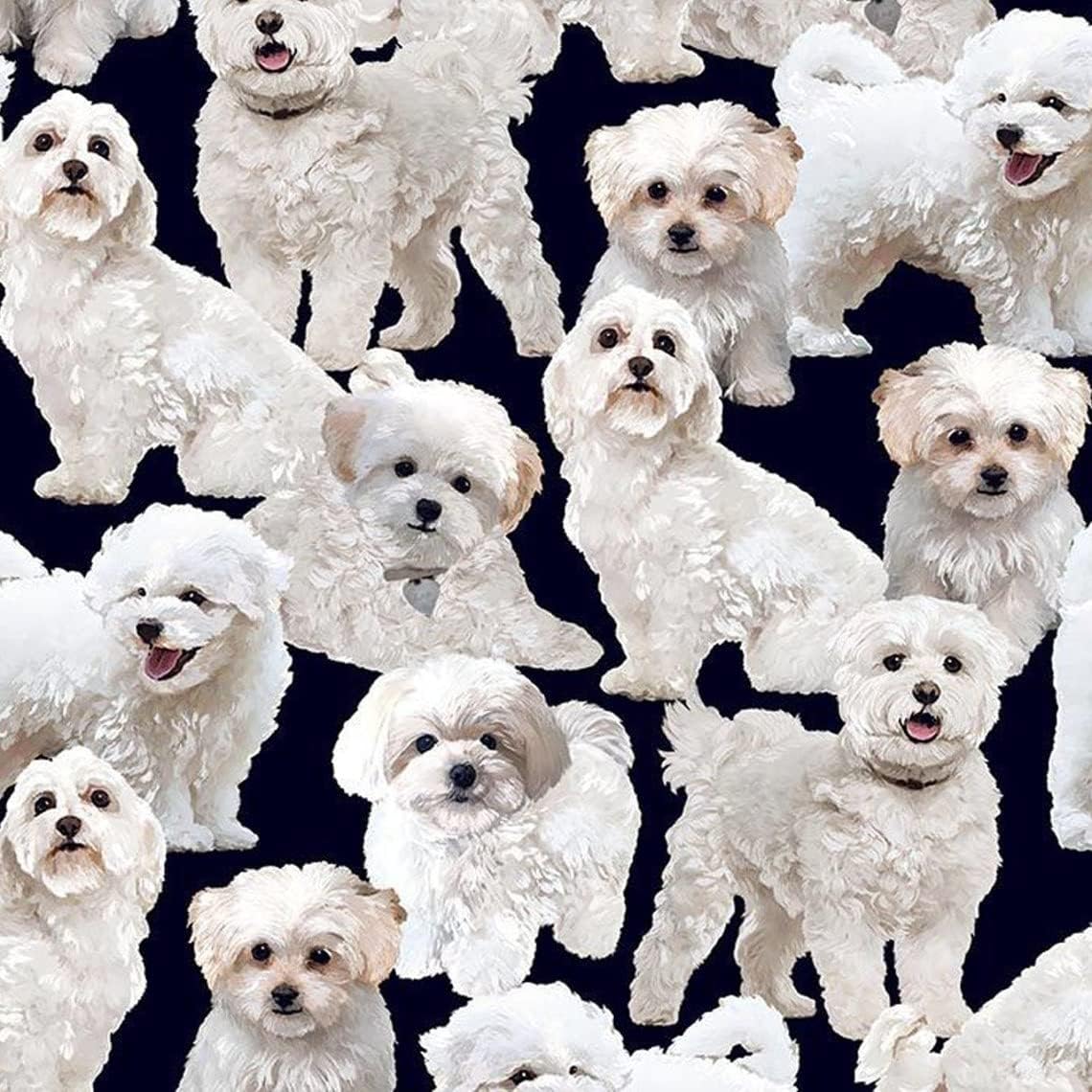 44" Wide 100% Cotton No Stretch Quilting Fabric-Printed Designs for Sewing, Clothing, Crafts, Accessories, Home Decor,  and DIY Projects (Quilting Fabric- Dog Collection)