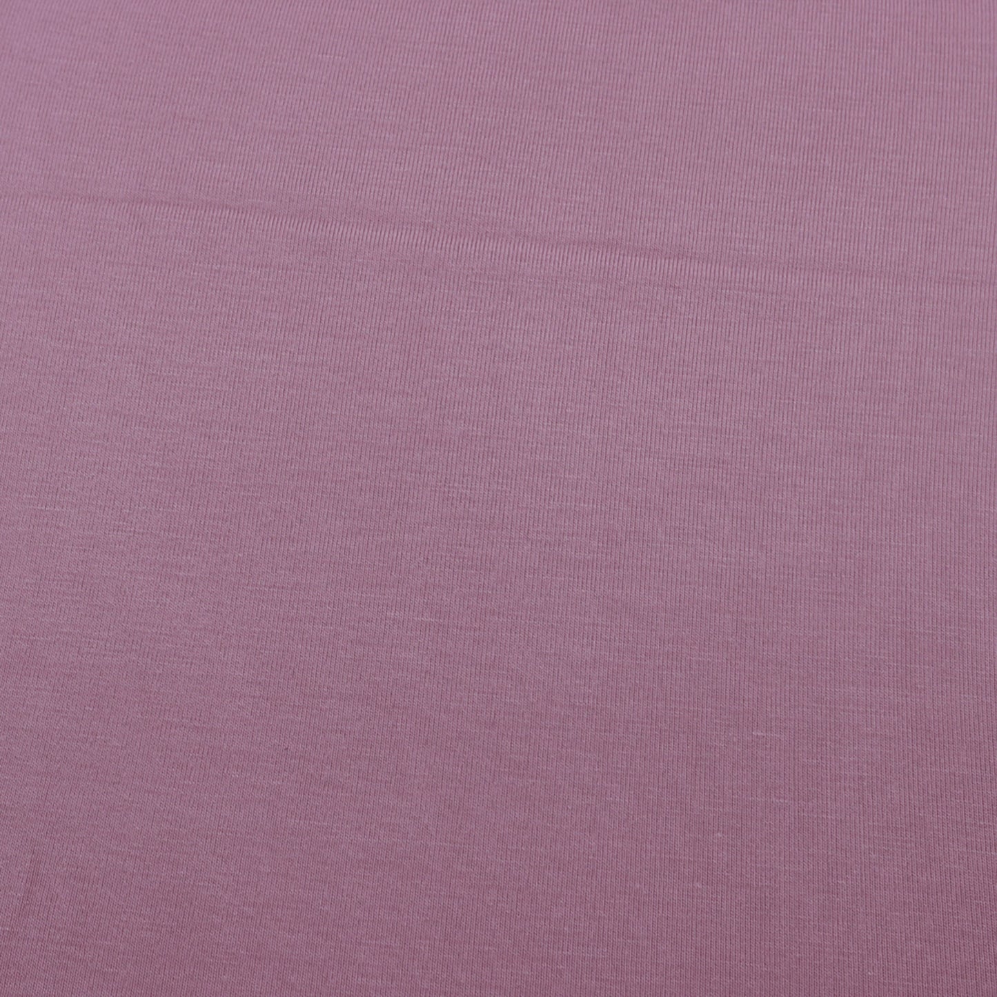 765-ROSE-DUSTY
