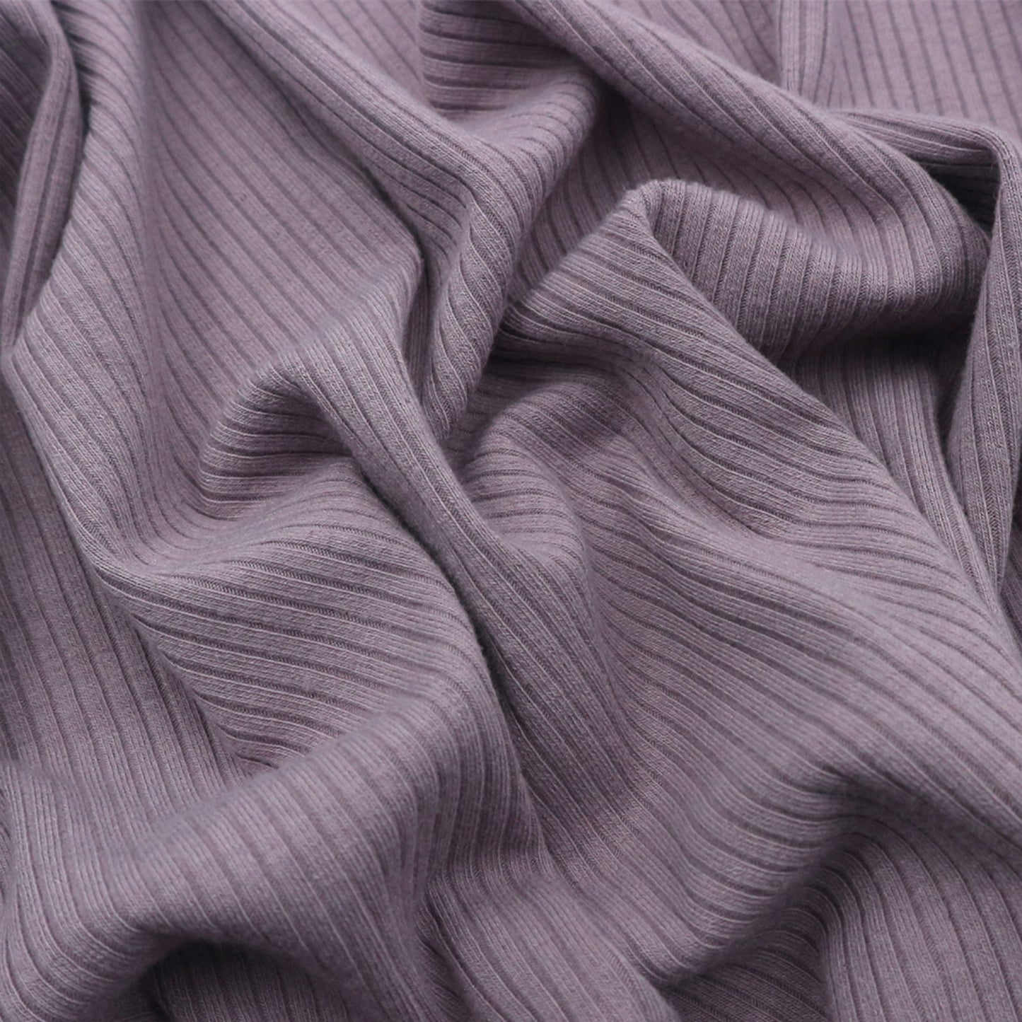 774-RIB-DUSTY-ORCHID