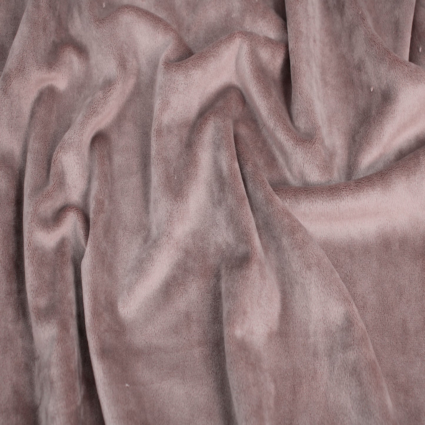 823-DUSTY-ORCHID