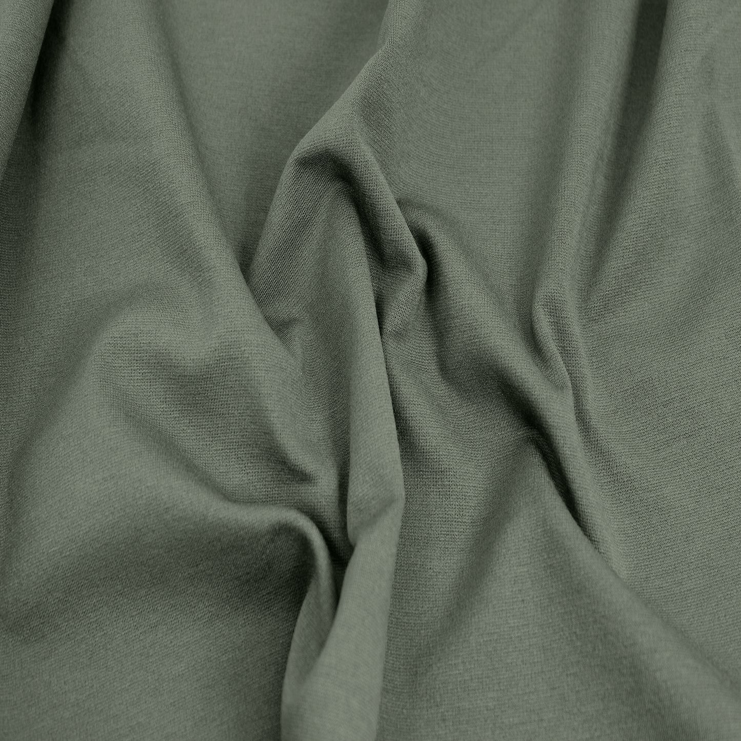 901-OLIVE