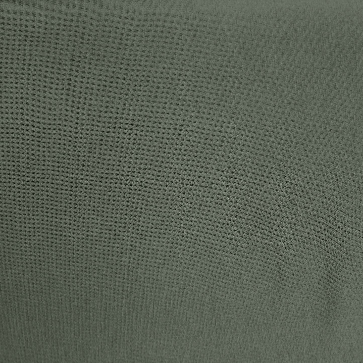901-OLIVE