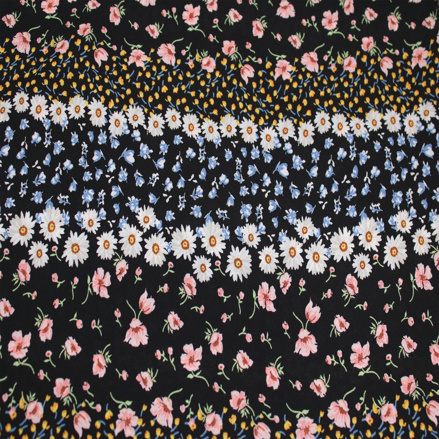 P-1916-504-BLACK-BLUSH