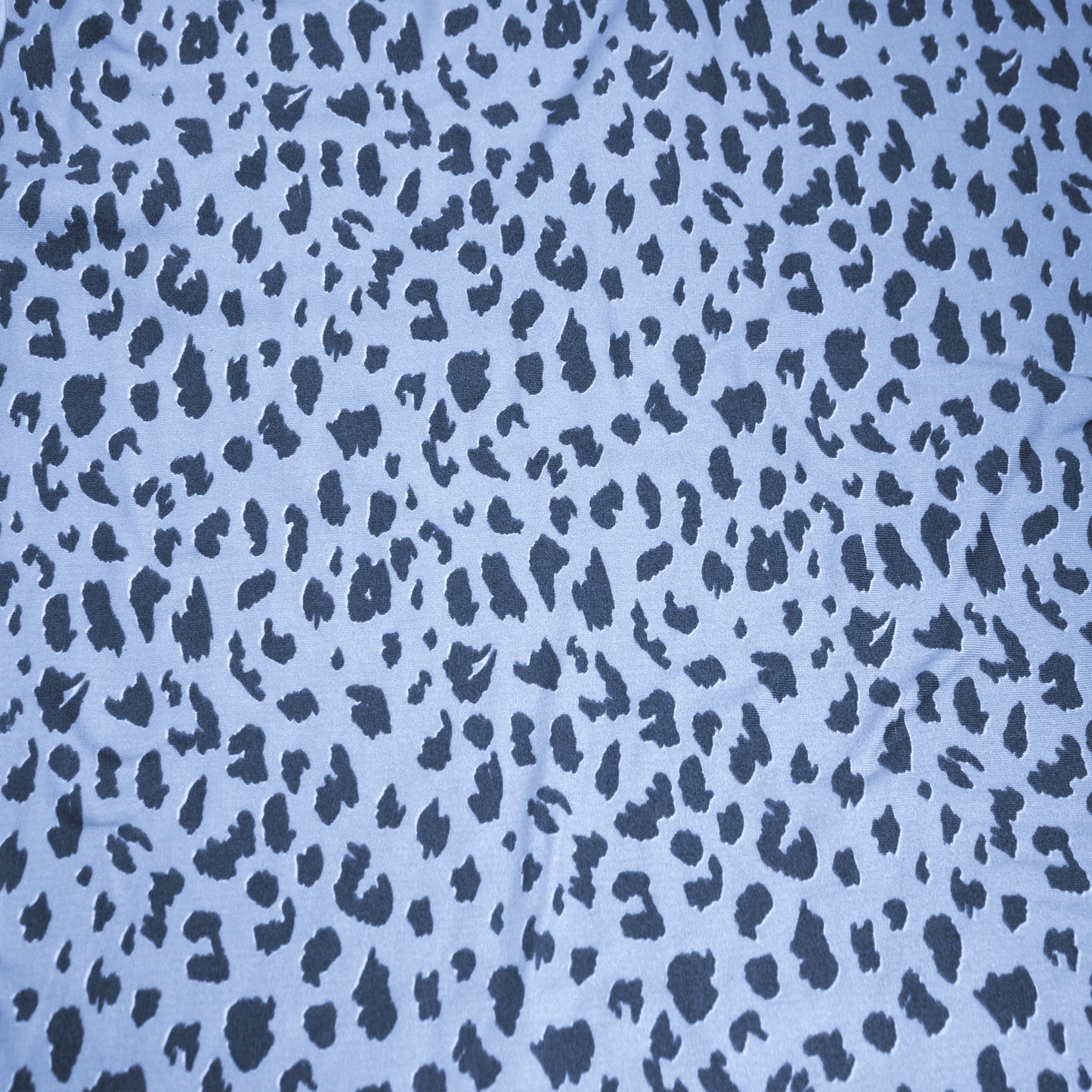 P-2121-668-FOGGY-BLUE-BLUE-STEEL