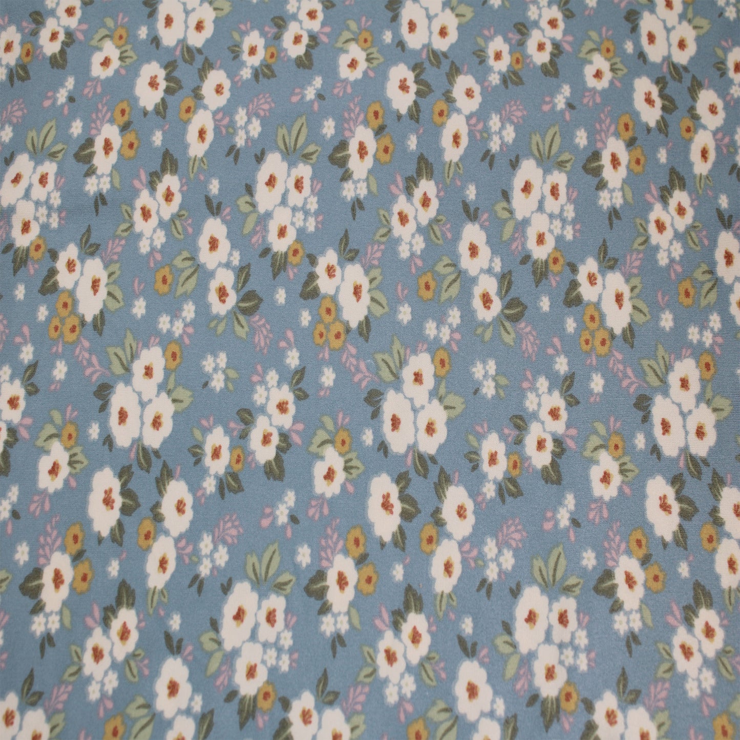 P-2564-668-BLUE-MIMOSA