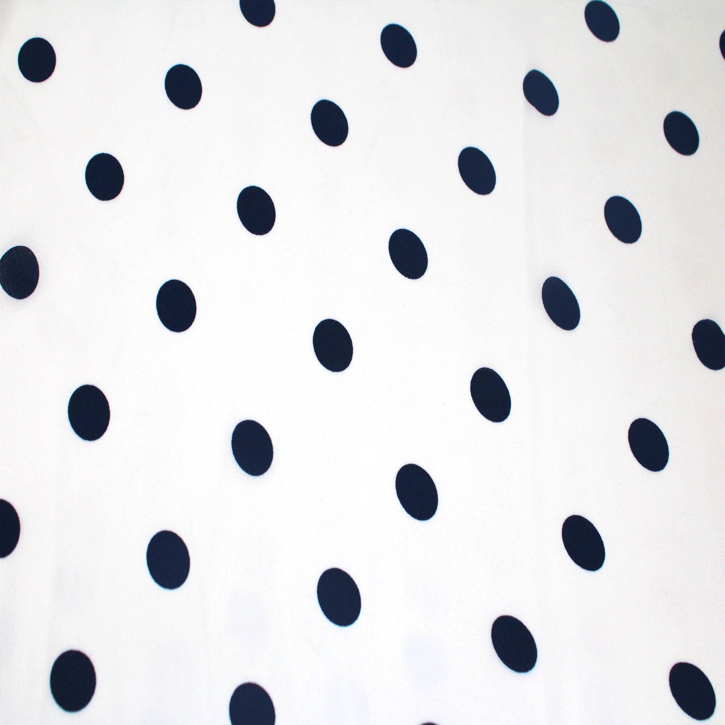 P-259-504-OFFWHITE-NAVY