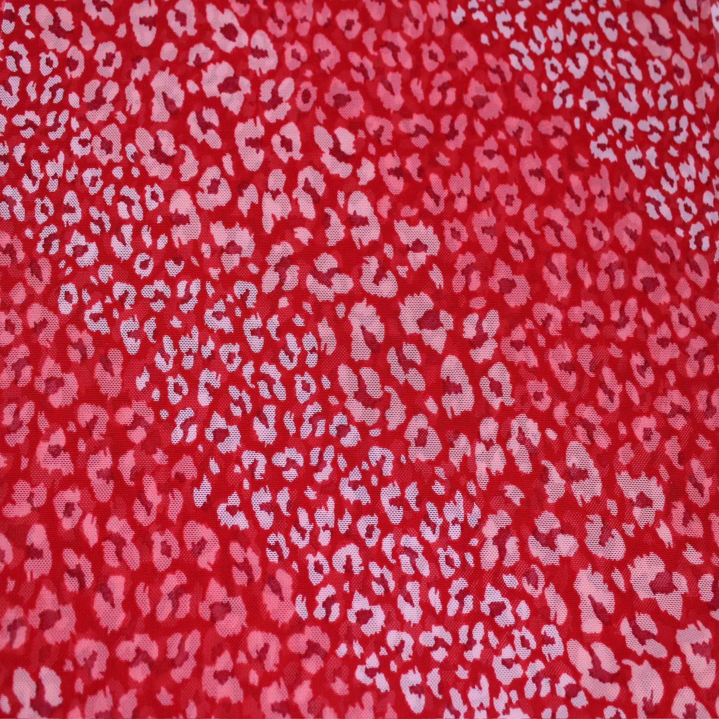 P-2640-453-RED-CORAL