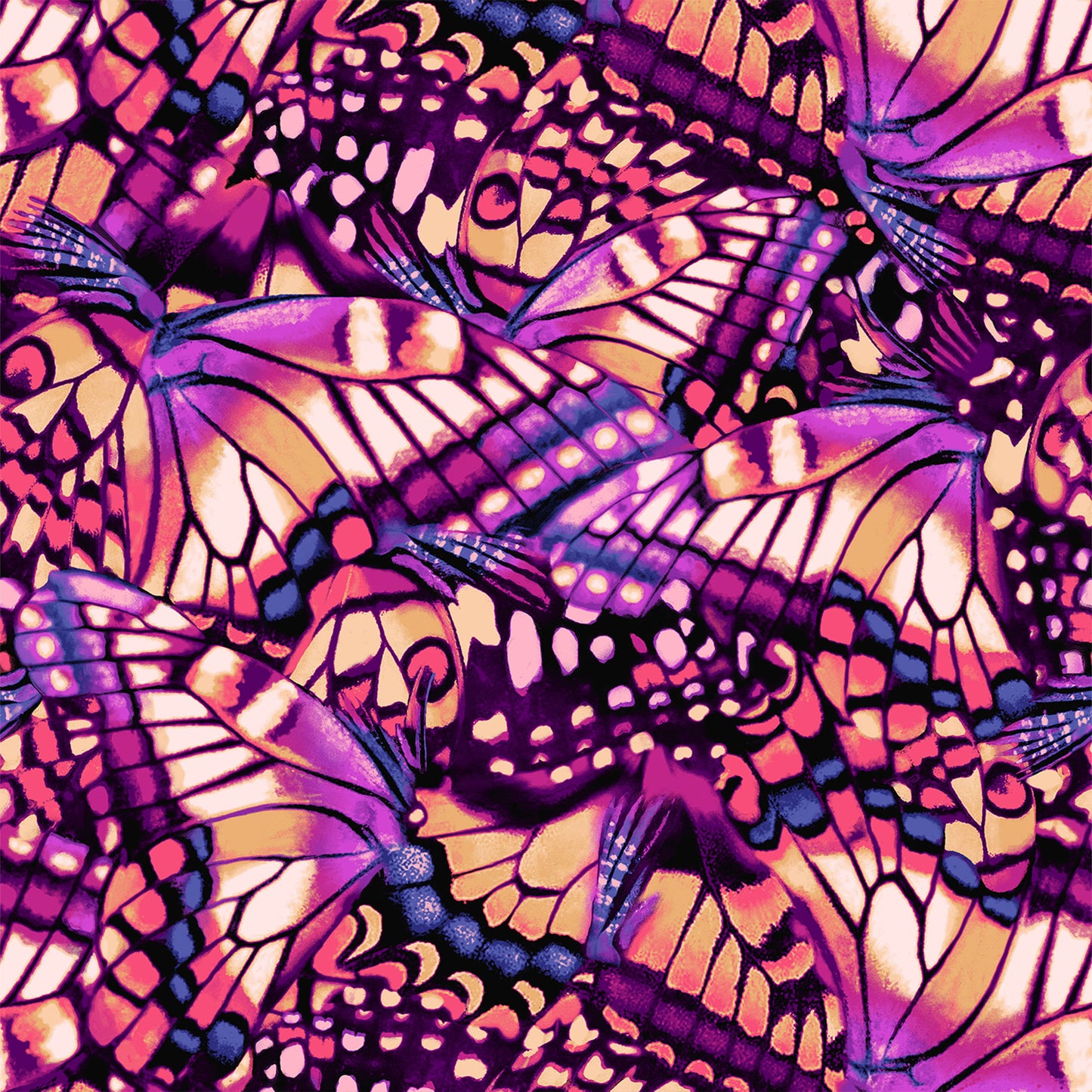 P-3107-754-FUCHSIA-MANGO