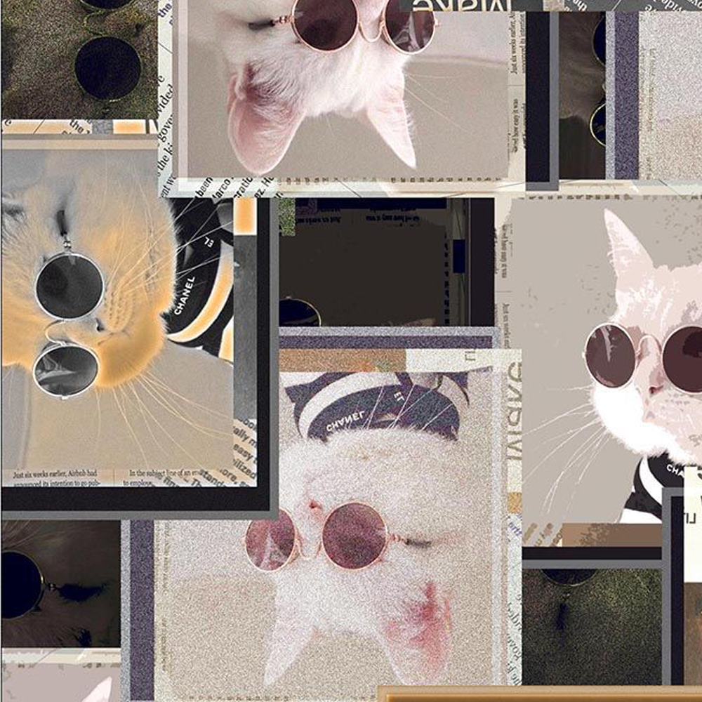 44" Wide 100% Cotton No Stretch Quilting Fabric-Printed Designs for Sewing, Clothing, Crafts, Accessories, Home Decor,  and DIY Projects (Quilting Fabric- Cats Collection)