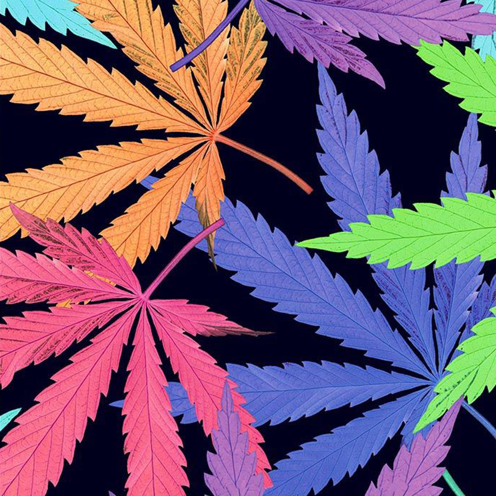 44" Wide 100% Cotton No Stretch Quilting Fabric-Printed Designs for Sewing, Clothing, Crafts, Accessories, Home Decor,  and DIY Projects (Quilting Fabric- Cannabis Collection)