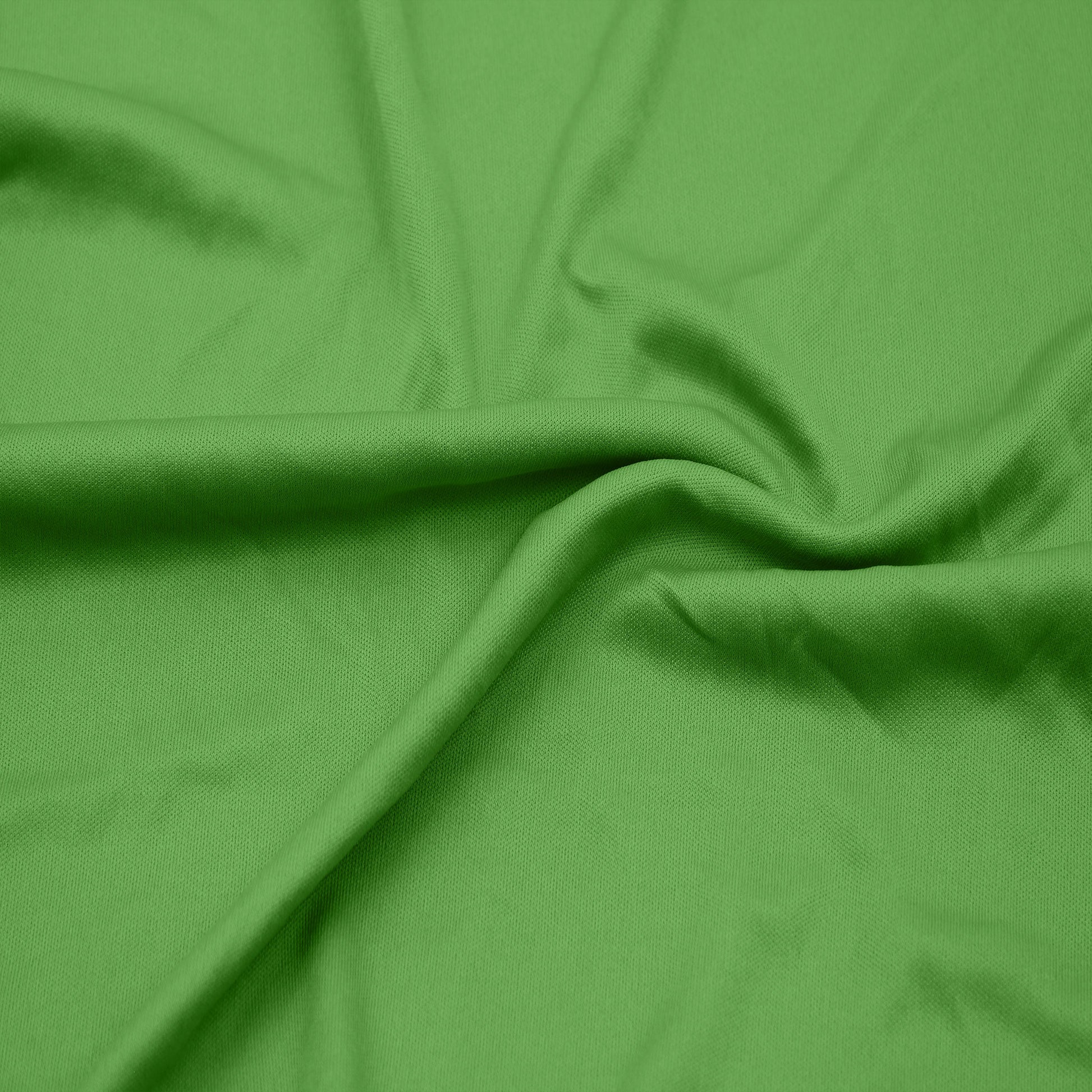 13100-AVOCADO-197