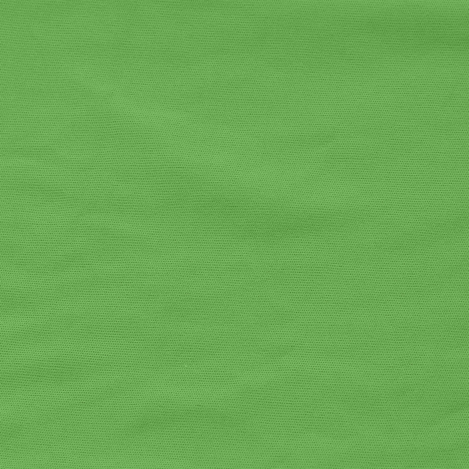 13100-AVOCADO-197