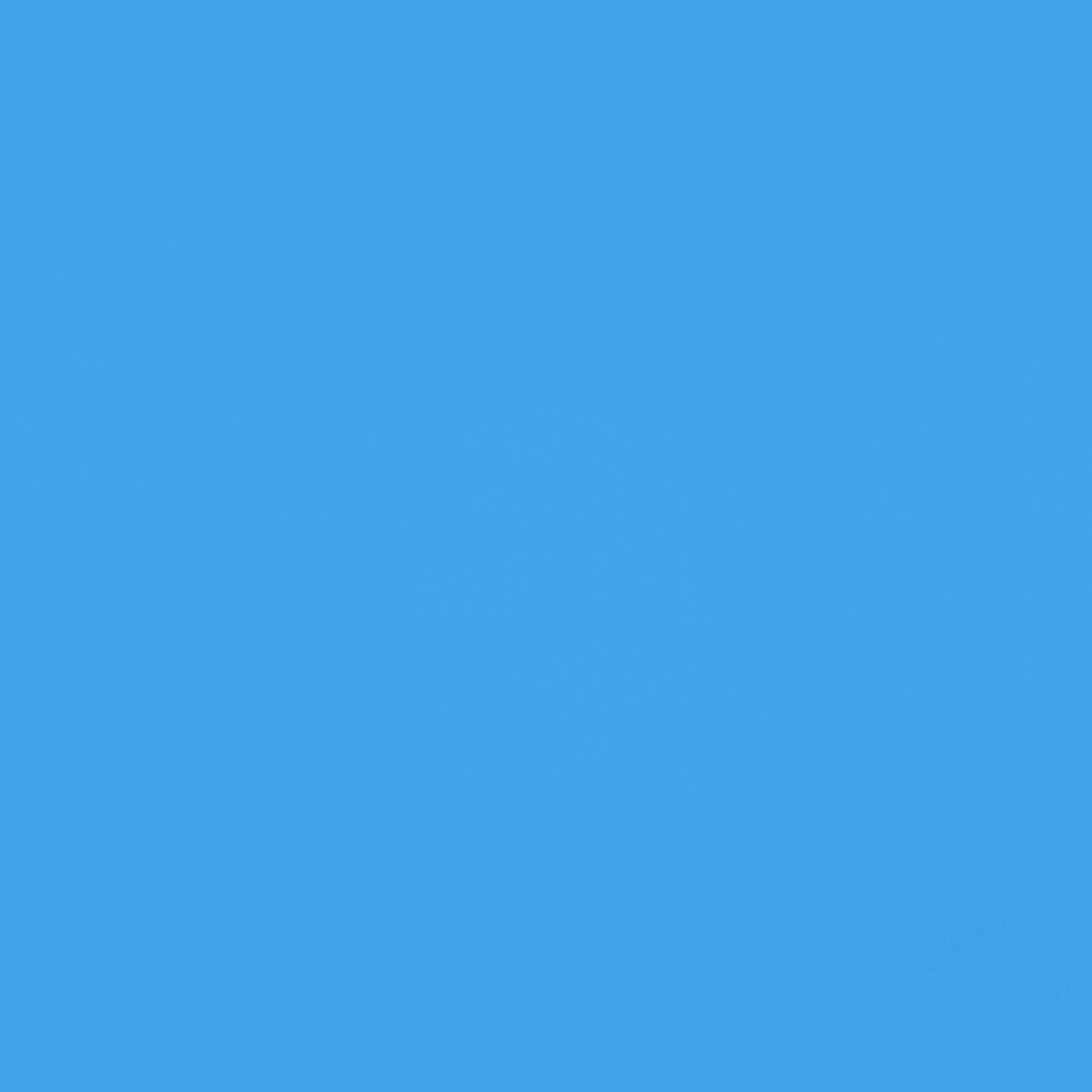 13100-BLUEJAY-081