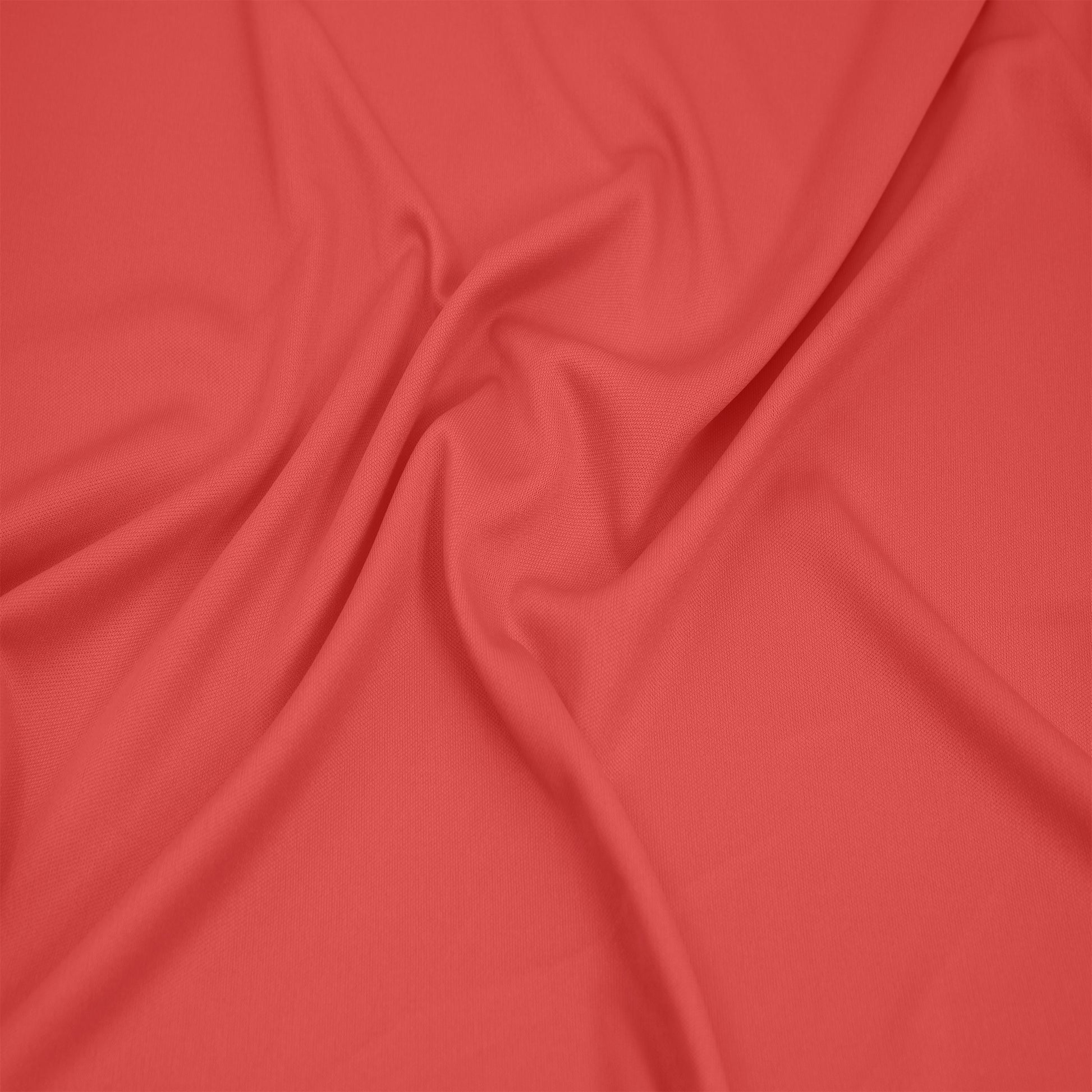 13100-CORAL-255