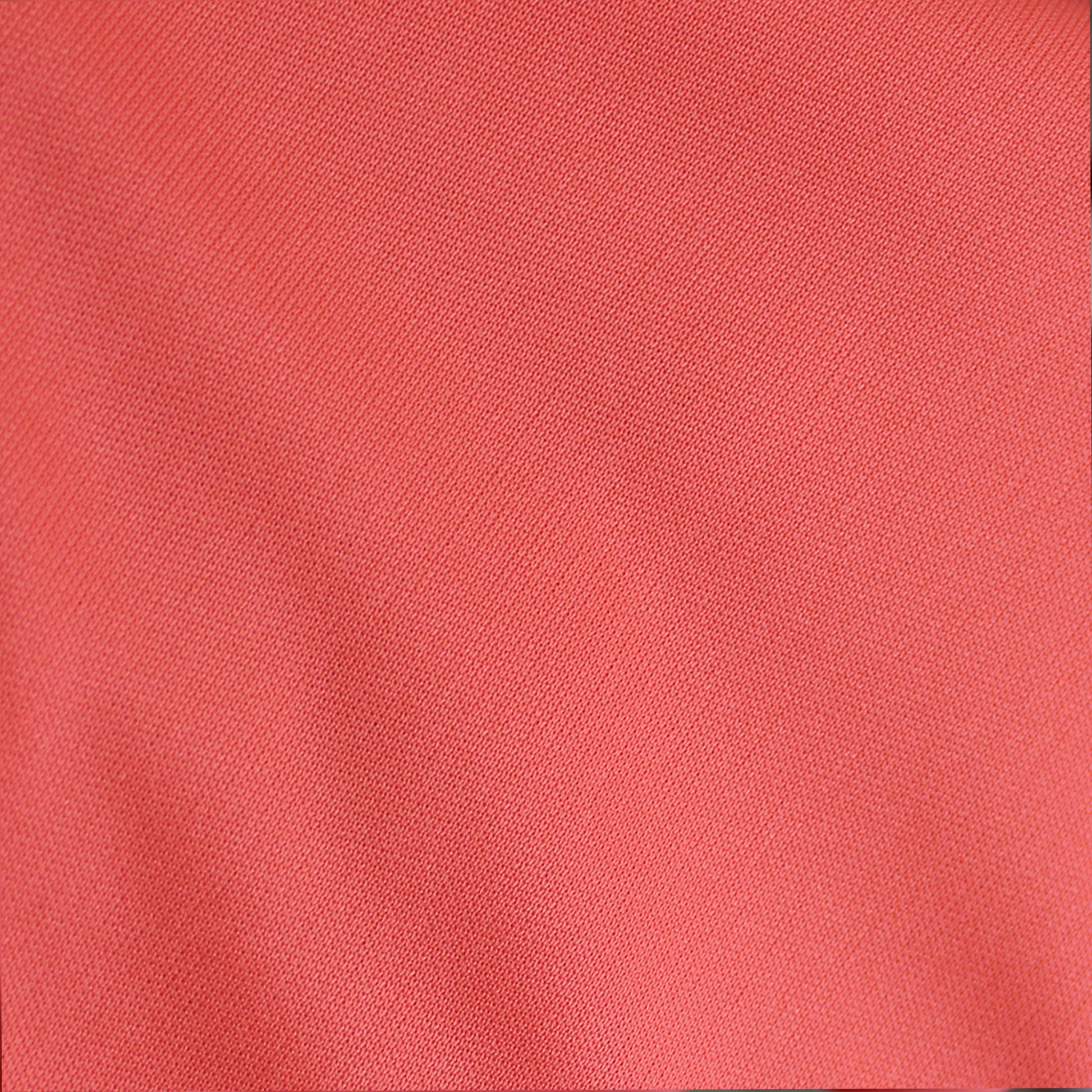 13100-CORAL-255