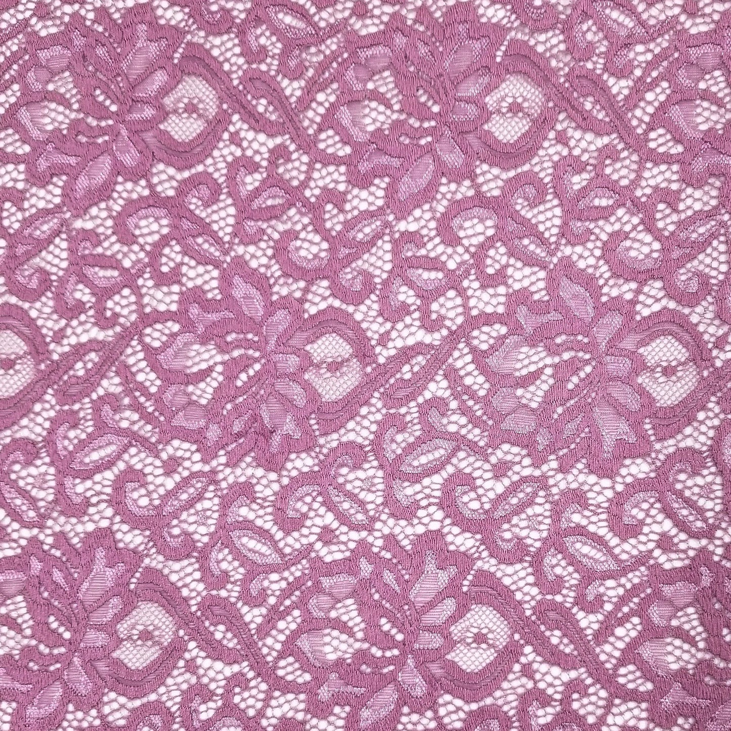 60" High Quality Lace Fabric Nylon Spandex Blend Rebecca with Scallop Pattern 155gsm - By the Yard - (SKU-670)