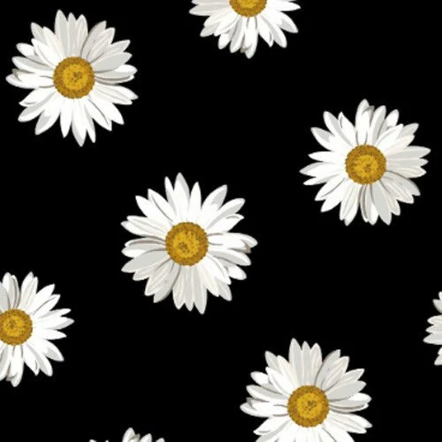 P-1565-506-BLACK-WHITE