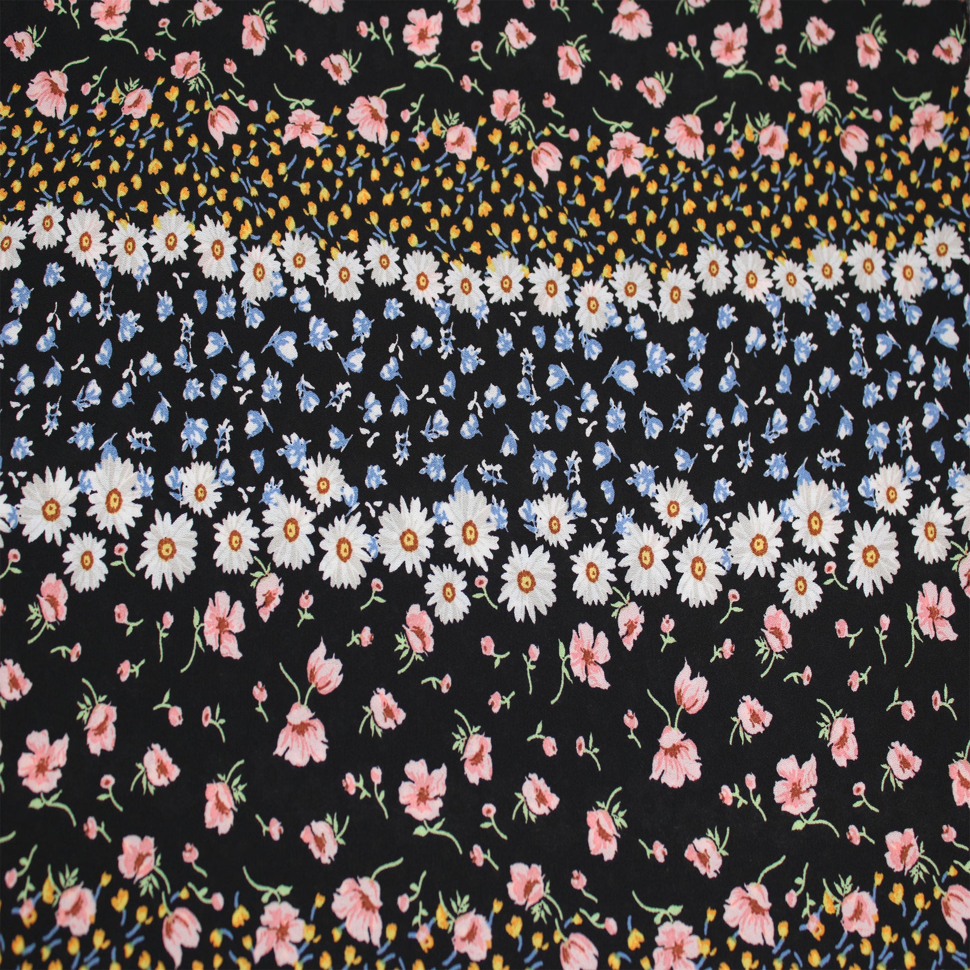 P-1916-504-BLACK-BLUSH