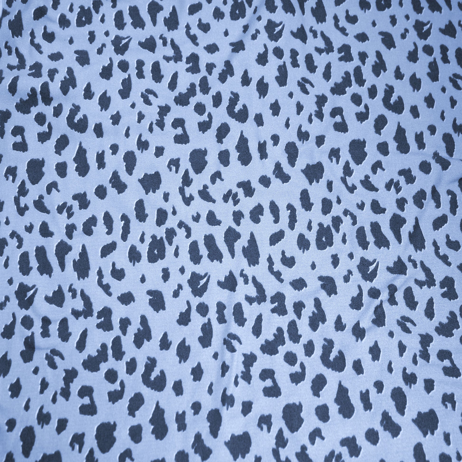 P-2121-668-FOGGY-BLUE-BLUE-STEEL