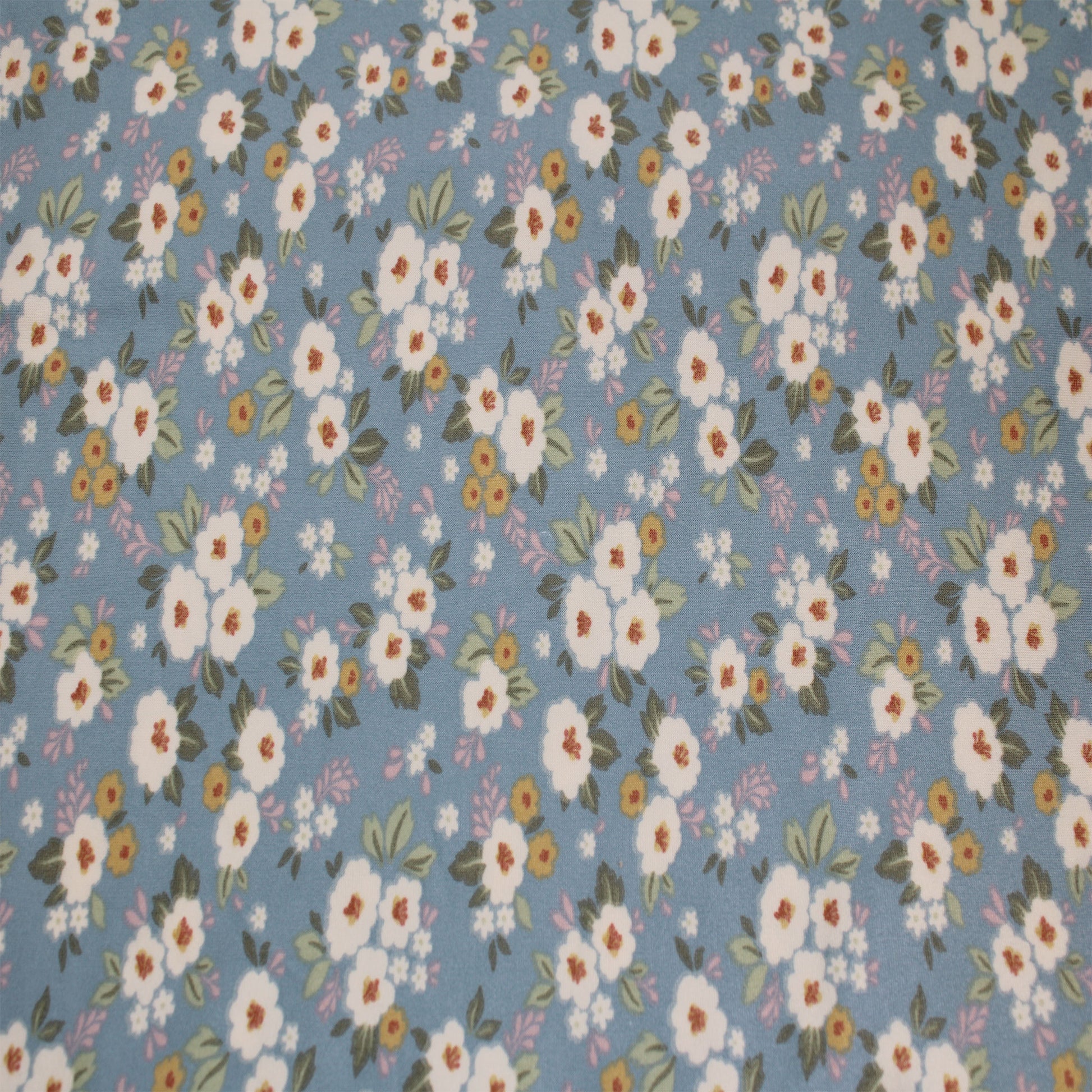 P-2564-668-BLUE-MIMOSA