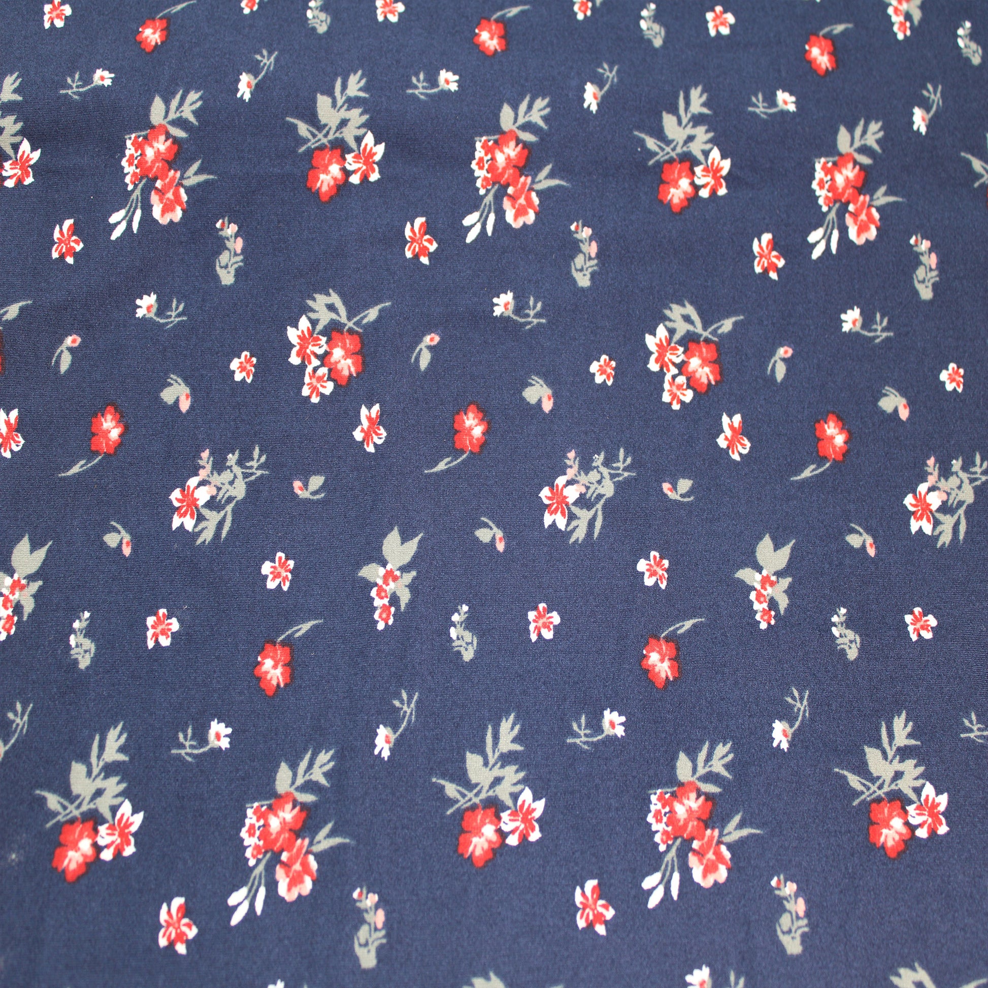 P-2577-668-NAVY-CRAMBERY