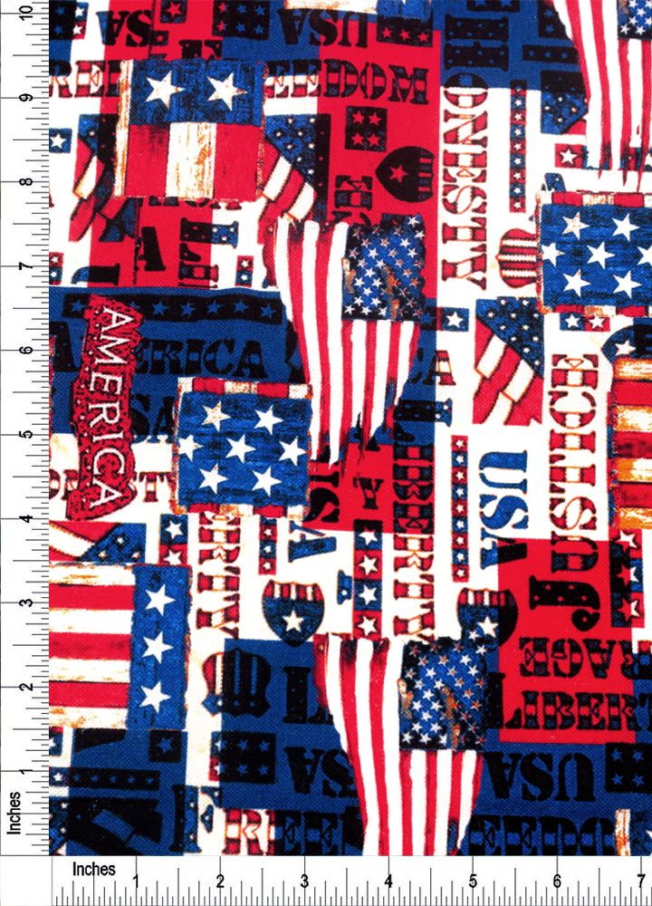 44" Wide 100% Cotton No Stretch Quilting Fabric-Printed Designs for Sewing, Clothing, Crafts, Accessories, Home Decor,  and DIY Projects (Quilting Fabric- Patriotic Collection)